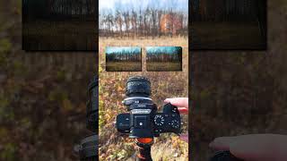 Capturing an Autumn Landscape Panorama with a Shift Adapter photography [upl. by Alfeus]