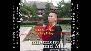 Jincheng Zhang  Instructive I Like Birds Official Instrumental Background Music [upl. by Onaled]