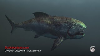 Dunkleosteus terrelli  Apex predator  Giant Devonian placoderm [upl. by Nnairb]