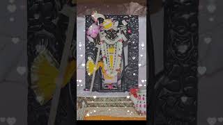 He Mara Ghat Ma Birajta Shrinathji  Hemant Chauhan  shrinathji bhajan gujarati  shorts shrinath [upl. by Maxia991]