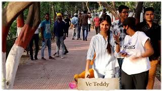 Vc Teddy entatinmet with cute girls teddy funny viralvideo teddybear comedy shorts ytshorts [upl. by Adnama]