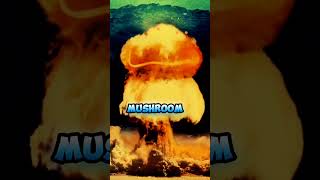 The Zar Bomba A Nuclear Nightmare Unleashed [upl. by Virendra]