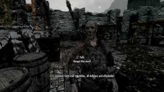 Lets Roleplay Skyrim  Part 38 The People of Eastmarch [upl. by Han202]