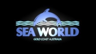 Classic Seaworld Remembering the 90s [upl. by Nagaek]