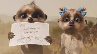 Compare the Meerkat  Advert 93 [upl. by Isyak]