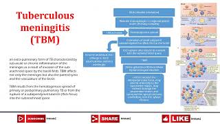 Tuberculous meningitis TBM [upl. by Tomaso]