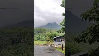 Arippara Waterfalls Arippara hanging bridge Kozhikode [upl. by Locin]