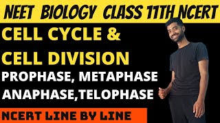 Cell cycle and Cell Division  M Phase  Prophase  Metaphase  Anaphase  Telophase [upl. by Leisam]