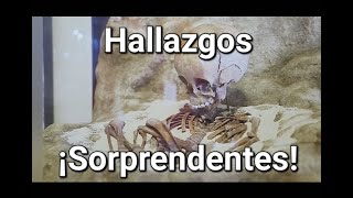 Hallazgos ¡Sorprendentes [upl. by Zachariah]