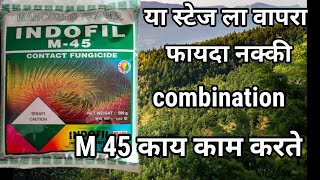 M45 fungicide  mencozeb  M 45 fungicide in marathi  M45 बुरशीनाशक माहिती  zink  M45 फायदा [upl. by Wieche]