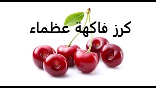 كرز cerasus طرق تكاثر وتسميد ورى حلقة 238 [upl. by Felty960]