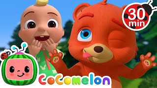 Playing Peekaboo  JJs Animal Time  Animals for Kids  Sing Along  Learn about Animals [upl. by Desimone464]