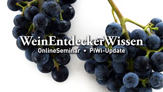 🍇 PiWiUpdate 🍇 – WeinEntdeckerWissen OnlineSeminar [upl. by Eizus572]