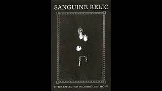 Sanguine Relic  Bitter Reflection In Luminous Shadows 2017 [upl. by Rhynd833]