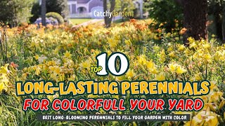 TOP 10 LONGLASTING PERENNIALS to Keep Your Garden BLOOMING YearRound 🌼🎨🌸  Gardening Ideas [upl. by Lirbij]