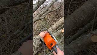 STIHL  MS 180 запуск і робота [upl. by Emarie]