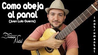 Como abeja al panal Juan Luis Guerra  INSTRUMENTAL  Juanma Natal  Cover  MUSIC [upl. by Sibylla440]