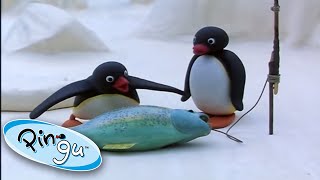 Pingu Goes Fishing With His Family 🐟 Pingu 1 Hour  Cartoons for Kids [upl. by Attenohs]