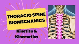 Thoracic Spine Structure and function exam oriented with notes [upl. by Ahsoik]