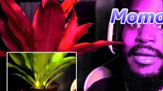 CoryxKenshin Momo The Plant Intro Original video link in desc [upl. by Newbold]