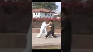 Xingyiquan Sparring Anshen Pao [upl. by Akered454]