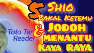 5 Shio bakal ketemu JODOH  Menantu KAYA RAYA dalam waktu dekat [upl. by Lebazej]