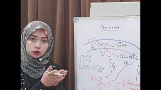 Hormone Biochemistry Session 4Hormones Acting via Ca as 2nd messenger [upl. by Adimra]