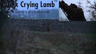 Nordik Crying Lamb [upl. by Etam]