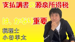 【税マメ】確定申告注意点 支払調書ってご存知ですか？ [upl. by Esenej120]