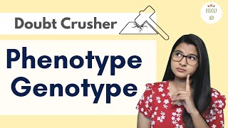 Phenotype Genotype Explained HINDI [upl. by Kristen939]