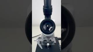 Red bull magnified 400 times is surprisingshorts fyp science microscope shortsvideo [upl. by Anayia]