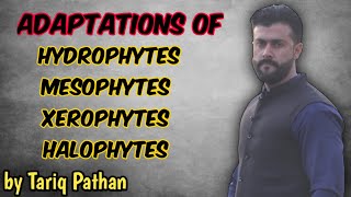 Chapter Homeostasis Hydrophytes  Mesophytes  Xerophytes  Halophytes Adaptations by Tariq Pathan [upl. by Hurd]