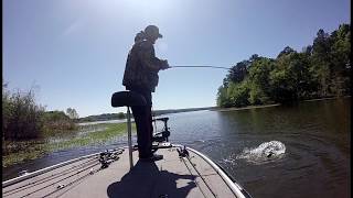 Lake Eufaula Bass Fishing  Spring Time Flipping Grass for Bass [upl. by Aihsotal]