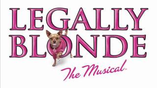 Legally Blonde  Legally Blonde 300611  Carley Stenson amp Lee Mead [upl. by Ailehpo]