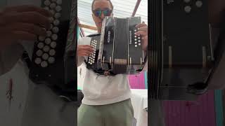 ROMUALDO BRITO  TATUAJE EN EL ALMA 🕶️🪗 vallenato hohner acordeon [upl. by Akcimehs]