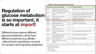 Regulation of glycolysis gluconeogenesis amp glucose transporters [upl. by Asquith]