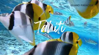 🏝️Paradise Found Explore the Beauty of Tahiti Island  4K Travel Experience [upl. by Gerita879]