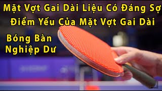 Tìm Hiểu Về Gai Dài Trong Bóng Bàn  Điểm Yếu Gai Dài   Bóng Bàn Nghiệp Dư  BBND [upl. by Gilburt]