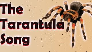 The Tarantula Song  Reptile Raps [upl. by Tahmosh344]