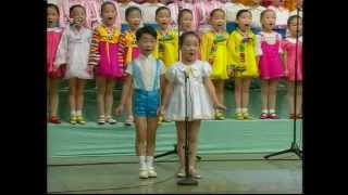 Song Sin Mi Song 8 DPRK Music [upl. by Audsley]