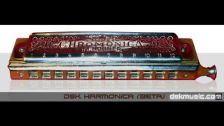 DSK Harmonica  Free VST [upl. by Rinna72]