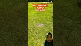 ALAT PENGGANTI RUMPUT KERINGshorts golf golfswing golfer grass funny [upl. by Eatnuhs]