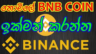 how to earn money sinhala  eurolanka  free bnb coin sinhala  free binance coin claim sinhala [upl. by Humphrey276]