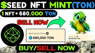 Seeds NFT Mint 20000  Seeds New NFT Mint Updates  Tomarket Listing Updates [upl. by Siegler]