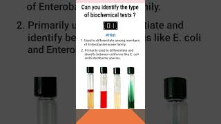 Quiz10  Biochemical test for identification of bacteria  shorts microbiology [upl. by Wareing]