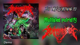 NekroskelekoN  Mutilated putriditY Official Visualiser [upl. by Yehudit]