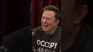 Elon musk John wick is the best comeback movie  Joe Rogan experience [upl. by Ahsoet]