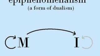 Why Epiphenomenalism Must be Wrong [upl. by Attenrad259]