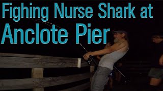 Fighting big Nurse Shark at Anclote Fishing Pier [upl. by Layne]