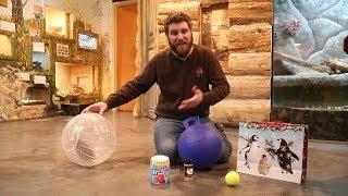 Ask the Nature Guy What types of enrichment do the zoo animals like [upl. by Stacy]